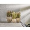 Pomax Cache-Pots | Boda - Set/3 Pots A Fleurs - Fibre D'Argile - Dia 32/41/55 X H 26/33/43 Cm - Naturel