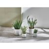 Pomax Plantes | Marmura - Plante Artificielle/ Purpre - Synthetique / Ciment - Dia 8 X H 16 Cm - Vert