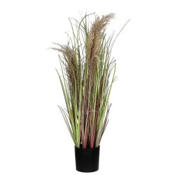 Pomax Plantes | Grass - Herbe Artificielle - Synthetique - Dia 11 X H 78 Cm - Naturel