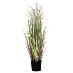 Pomax Plantes | Grass - Herbe Artificielle - Synthetique - Dia 11 X H 78 Cm - Beige