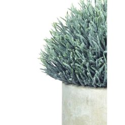 Pomax Plantes | Concrete Jungle - Plante Artificielle En Pot - Ciment / Synthetique - Dia 10 X H 14 Cm