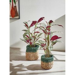 Pomax Plantes | Jungle Fever - Plante Artificielle En Pot - Synthetique - H 100 Cm - Vert