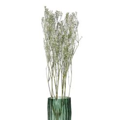 Pomax Fleurs | Collita - Fleurs Sechees - Gypsophila Natura - H 63 Cm - Blanc