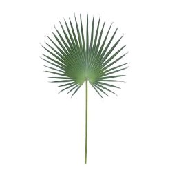 Pomax Plantes | Fanpalm - Feuille Artificielle - Synthetique / Metal - H 121 Cm - Vert