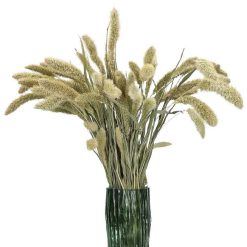 Pomax Fleurs | Collita - Fleurs Sechees - Setarea Natural - H 70 Cm - Vert