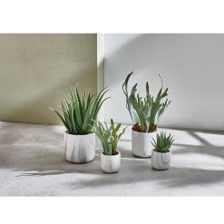 Pomax Plantes | Marmura - Plante Artificielle - Synthetique / Ciment - Dia 12 X H 40 Cm - Vert