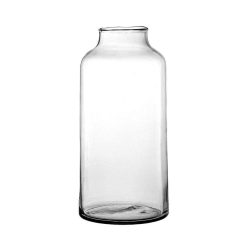 Pomax Vases | Bloom - Vase - Verre - Dia 15 X H 32 Cm - Transparent