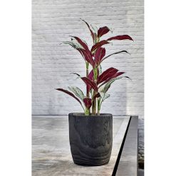 Pomax Cache-Pots | Pure - Pot A Fleurs - Bois De Paulownia - Dia 30 X H 32 Cm - Noir