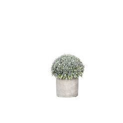 Pomax Plantes | Concrete Jungle - Plante Artificielle En Pot - Ciment / Synthetique - Dia 12 X H 14 Cm