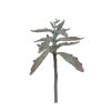 Pomax Plantes | Succulent - Plante Artificielle - Synthetique / Metal - H 38 Cm - Vert