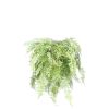 Pomax Plantes | Fern - Fougere Artificielle - Synthetique / Metal - H 90 Cm - Vert