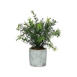 Pomax Plantes | Concrete Jungle - Plante Artificielle - Synthetique / Ciment - Dia 11 X H 23.5 Cm - Vert