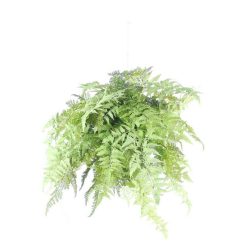 Pomax Plantes | Fern - Fougere Artificielle - Synthetique / Metal - H 70 Cm - Vert