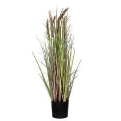 Pomax Plantes | Grass - Herbe Artificielle - Synthetique - Dia 11 X H 78 Cm - Brun